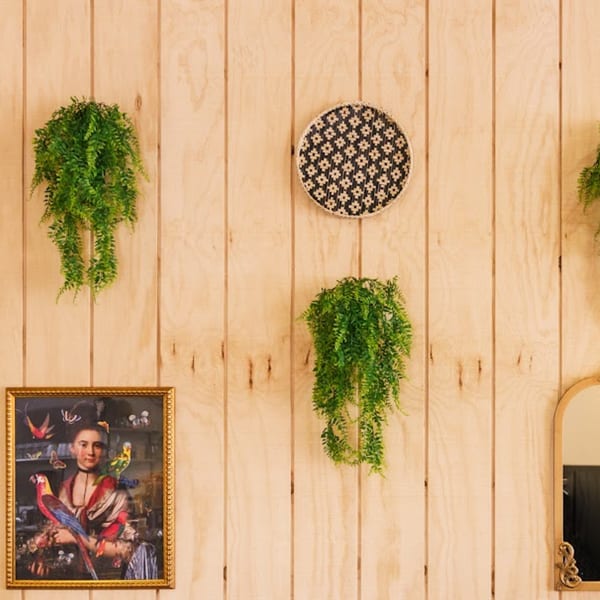 Light wood paneling with hanging ferns, a woven circular decoration, and a framed portrait.